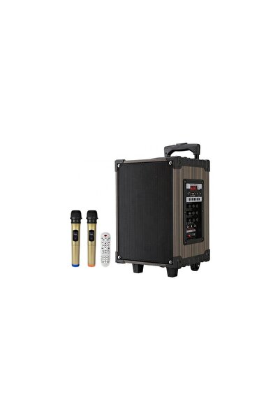 Glr Lt-910 Kablosuz 2 Mikrofonlu Kablosuz Hoparlör