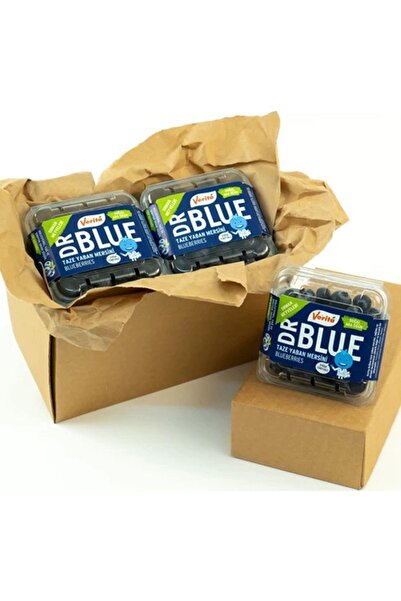 Verita Yaban Mersini (Blueberry) Dr. Blue 3'lü Keşif Paketi