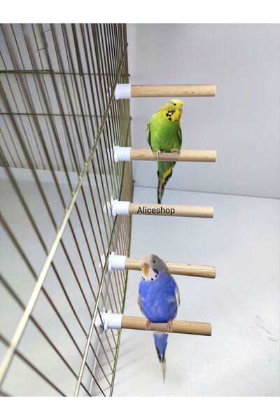 AlyaPetWorld Tahta Tünek 12mm kalın 10cm uzunluğunda 5 Adet Tünek ( Bekar Tün...