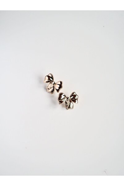 Roosvel Kurdele / Fiyonk Pinterest Çelik Küpe