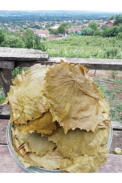 Silver's Naturals Tokat Salamura Bağ Yaprağı Ince Damarsız (DİREK SARIP PİŞİRİLİR)- 5kg'lık Bidon (İADE GARANTİLİDİR)
