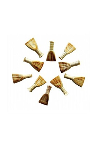 Piarro Profosyonei Zurna Cane 10 Pieces