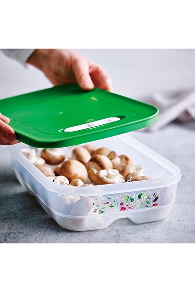 Tupper 4-Piece Greenhouse Series Green and Yellow Fresh fruit and vegetables for a long time