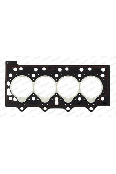 PAYEN Head Gasket Cylinder Renault Laguna I 2.2 D 93-01 By080 7700872383 Sot