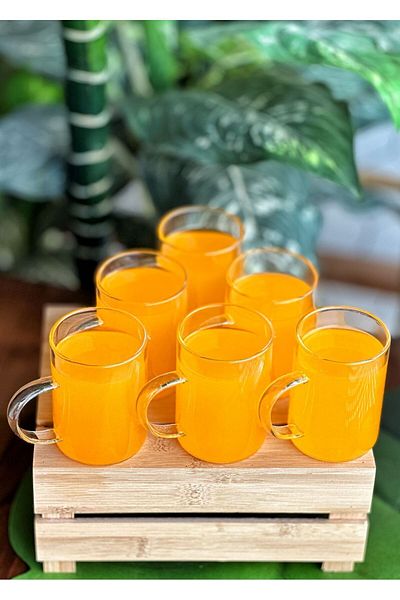 Paçi 6 Pieces Borosilicate Heat Resistant Thermal Glass Mug Cup 200 ml