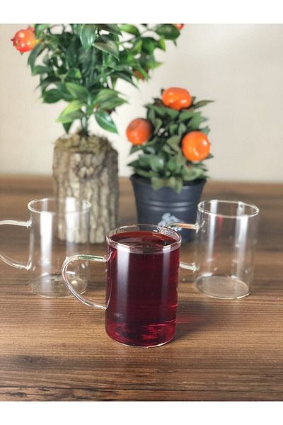 Paçi 6 Pieces Borosilicate Heat Resistant Thermal Glass Mug Cup Fma08432