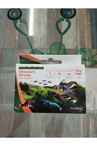 EuroStar Euro Star Bitki Tohumu (Parvula)