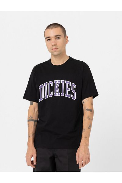 Dickies تي شيرت أسود للرجال - DK0A4X9FG411