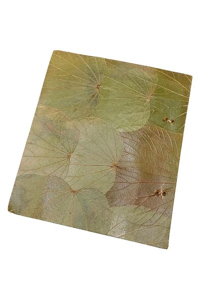 Dünyadan Hediyeler 27 Cm Papyrus Leaf Photo Album