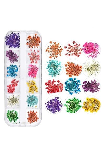 Venalisa Kurutulmuş Gerçek Çiçek Nail Art Süsleme 3d Kuru Çiçek Model A