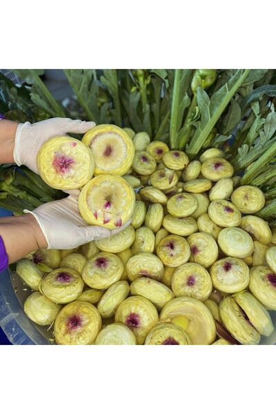 Aydın Enginar Köy Ürünleri 15'li Orta Ve Duble Boy Taze Çanak Enginar