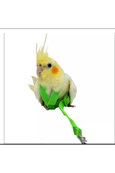 Mavi Kaktüs Sultan Papağanı Tasması Kuş Gezdırme Tasması Açık Hava Oyuncağı 1...