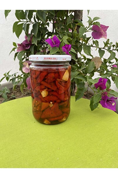 Aydın Enginar Köy Ürünleri 660 cc Köz Kapya Biber Konservesi