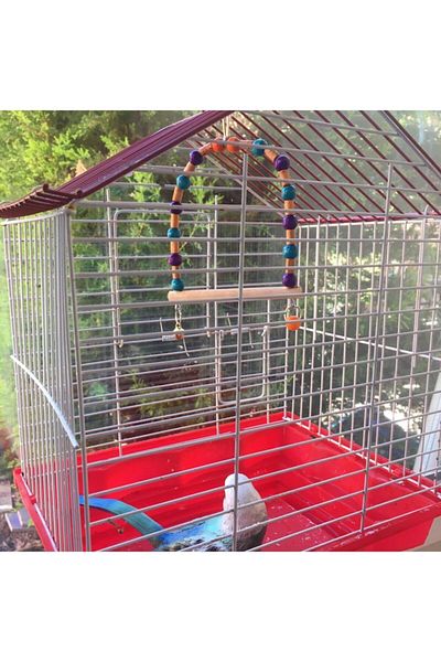 WOLFMAR Bird Toy
