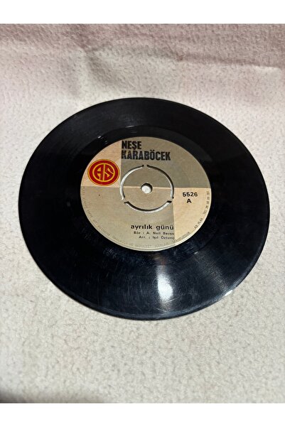 tayfuntufan antika koleksiyon Neşe Karaböcek - ayrılık günü - aşık olamıyorum...