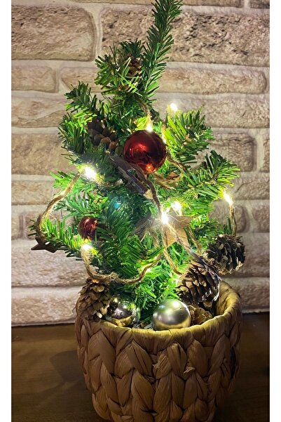 Zeugma Home Designs Çam Ağacı Işıklı Minyatür Taşınabilir