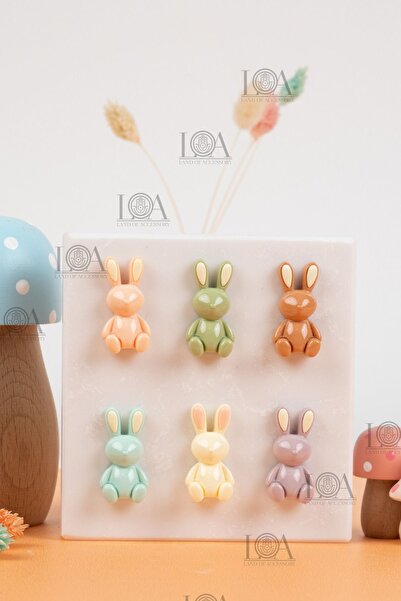 Crocs Corcs Jibbitz Terlik Süsü - Suluk Süsü - Telefon Süsü, 6 Adet Charm, Ma...