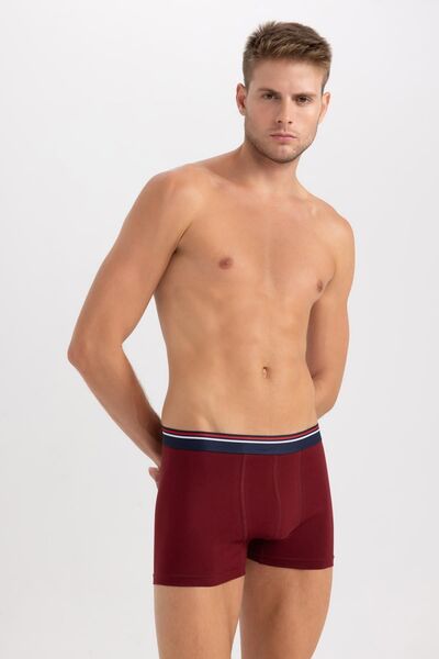 DeFacto Regular Fit Boxer A5987ax23au