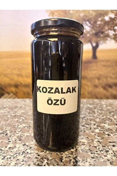 Burdur Hasat 700 ml Doğal Selvi Çam Kozalağı Özü