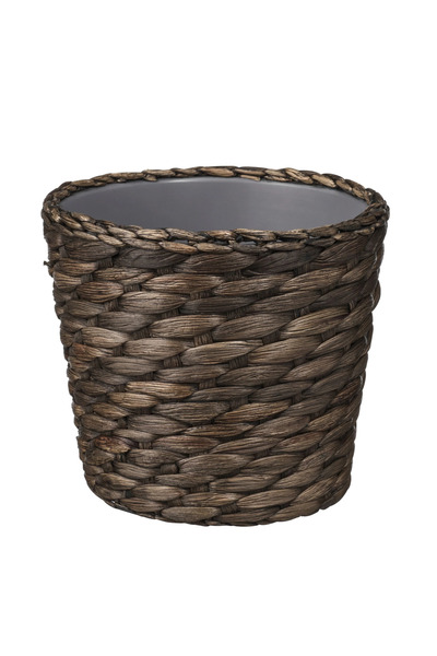 IKEA DRUVFLADER raftan saksı su sümbülü 12 cm