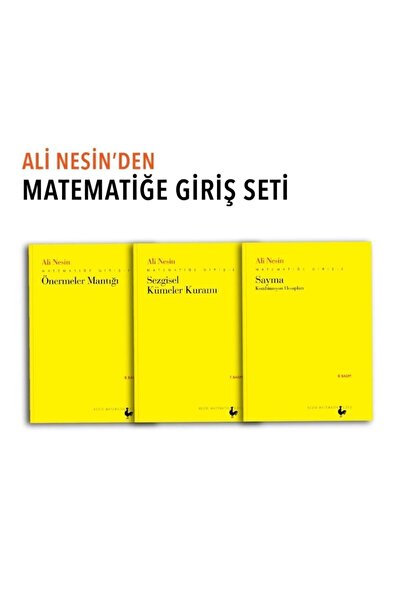 Nesin Yayınevi Matematiğe Giriş Seti