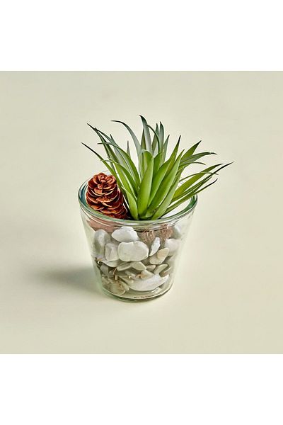 Bella Maison Terrarium Μικρή Γυάλινη Γλάστρα (12Χ19 εκ.)