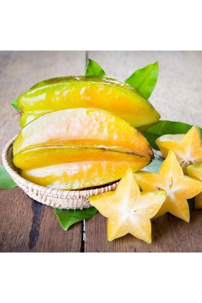 Reyon Bahçe 20 Lt Saksıda Meyve Verir Durumda Carambola (Yıldız Meyvesi) Fidanı
