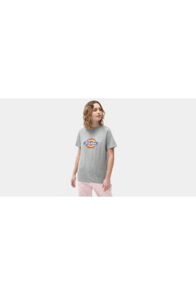 Dickies Women's and Girls Gray T-Shirt - DK0A4XCAGYM1