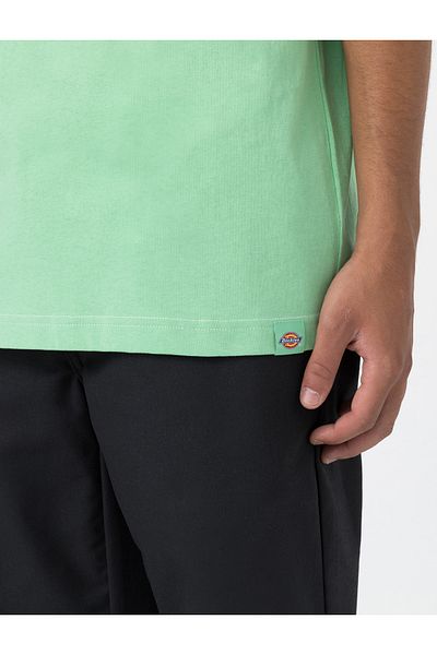 Dickies تي شيرت رجالي - أخضر نعناعي، DK0A4YBME911