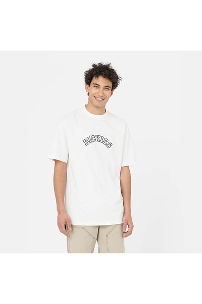 Dickies Men's T-Shirt - DK0A4YBMC581 Model
