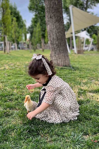 Bertuğ Bebek Σετ φόρεμα και αγκράφα για κοριτσάκι με λεπτομέρεια μικροσκοπικό φλοράλ σιφόν τούλι σε μαύρη κορδέλα