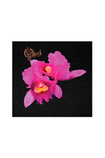 Beam Dijital Opeth أوركيد ألبوم تزوير الحجاب التصحيح