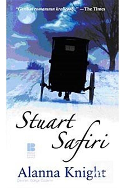 Bilge Kültür Sanat Stuart Safiri
