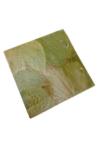 Dünyadan Hediyeler 19 Cm Papyrus Leaf Photo Album