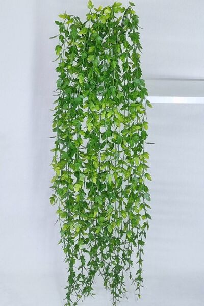 MD Aspiz Flowers 2 Adet Yapay Uzun Sarkan Sarmaşık Şimşir Okaliptus __ Balkon Çiti Bitki Gelin Buketi Gül Saksısız