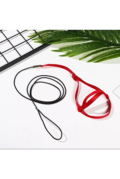 Mavi Kaktüs Muhabbet Kuşu Tasması Kuş Gezdırme Tasması Açık Hava Oyuncağı 1 M...