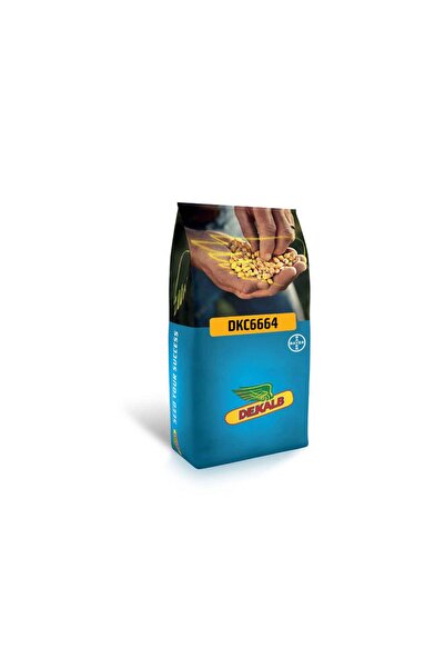 DEKALB Dekalp Dkc6664 Gaucho Mısır Tohumu