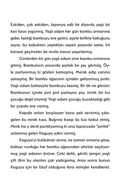 Nesin Yayınevi En Güzel Japon Masalları