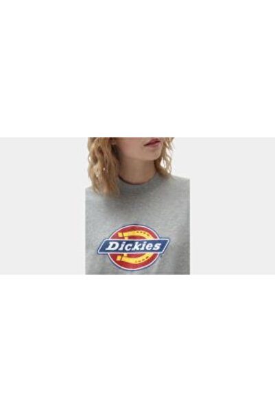 Dickies Women's and Girls Gray T-Shirt - DK0A4XCAGYM1