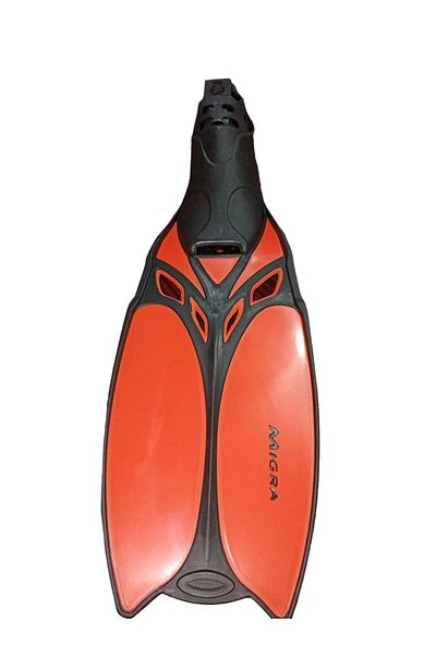 Micra Migra - Professional Child Palette 31 - 32