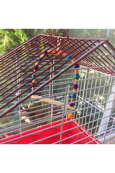 WOLFMAR Bird Toy
