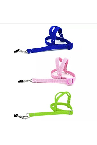 Mavi Kaktüs Muhabbet Kuşu Tasması Kuş Gezdırme Tasması Açık Hava Oyuncağı 1 Metre Iplı Kuş Gezdırme Tasması