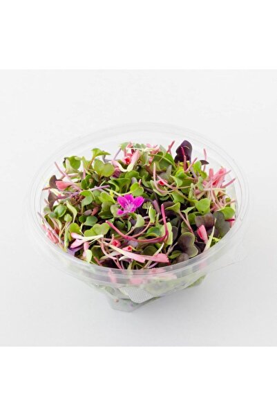 Mimi Çiftliği Yemeye Hazır Filiz Salatası - Fit Salata