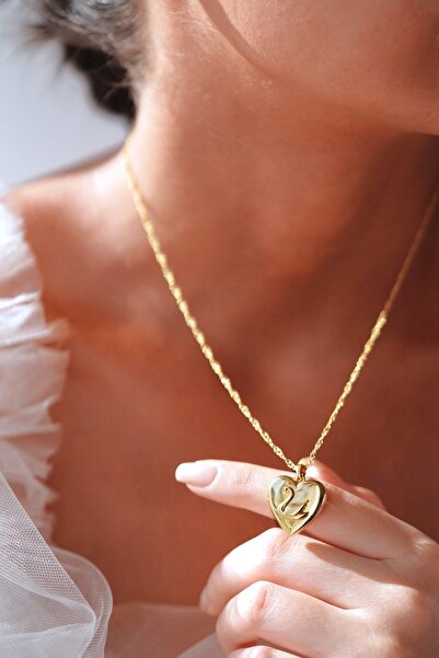 AŞIK ACCESSORIES قلادة فولاذية مع غطاء بجعة أوديت