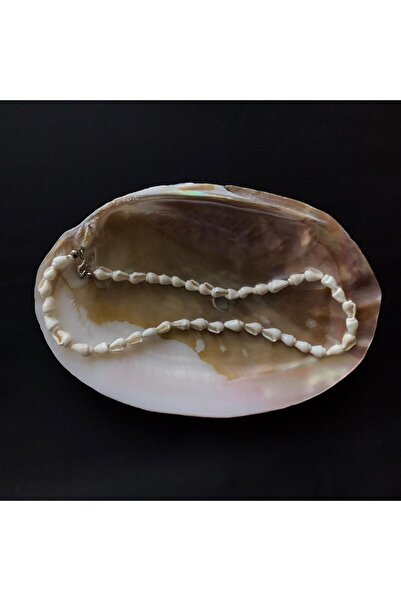 Cherry Boom Gerçek Deniz Kabuğu Choker Kolye