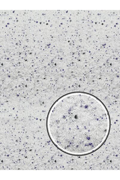 LİWA Canlı Sıva / Ipek Sıva /dekoratif Sıva /duvar Lr-m