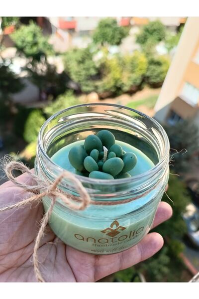 AnatoliaCandles Cam Kavanoz da sukulent