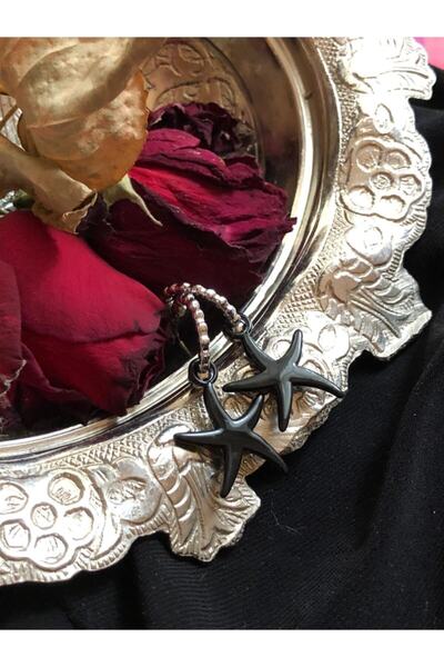 Leerybee Shiny Black Color Antiallergic Star Earrings