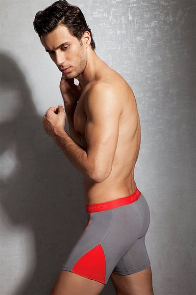 Doreanse Smoke Colored Regular Leg Men's Boxers