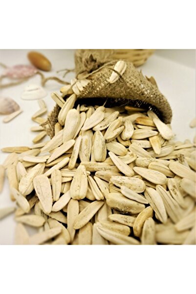 TohumBul Beyaz Çerezlik Çitlemelik Ayçiçeği Çekirdeği Fidesi (5 Adet)